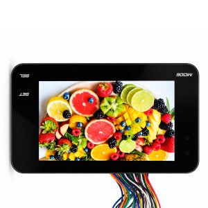 5.0 Inch 480×272 IPS LCD Module